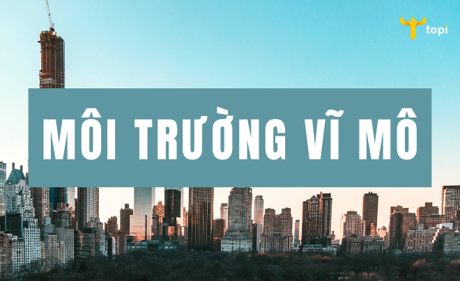 Môi trường vĩ mô là gì?