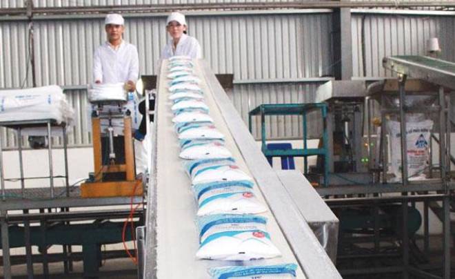Công nhân trong nhà máy đóng gói các bao gạo trên băng chuyền, bên trong một cơ sở sản xuất công nghiệp.