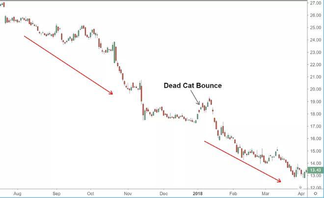 bẫy Dead cat bounce