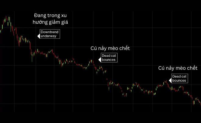 Biểu đồ giá cho thấy xu hướng giảm với hiện tượng "cú nảy mèo chết" xuất hiện tại hai điểm.