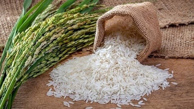 Túi vải nhỏ đổ gạo trắng trên bàn gỗ, bên cạnh là cành lúa xanh tươi.
