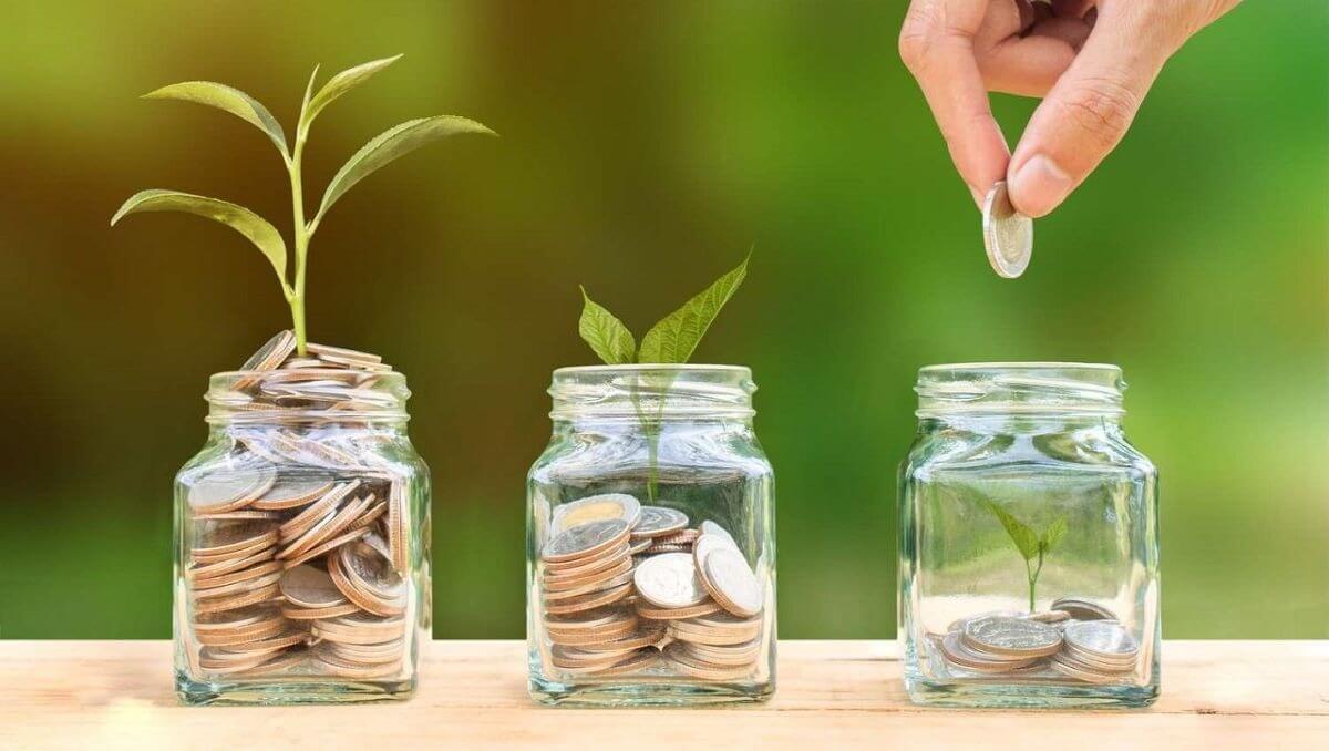 Ba lọ thủy tinh chứa đồng xu và cây non; tay thả xu vào lọ thứ ba, biểu thị sự phát triển tài chính.