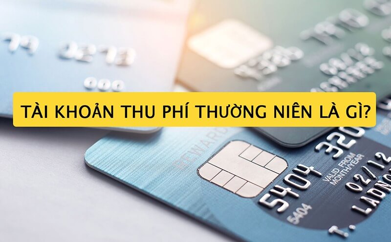 Nhiều thẻ tín dụng nằm trên bàn với tiêu đề “Tài khoản thu phí thường niên là gì?” trên nền vàng.