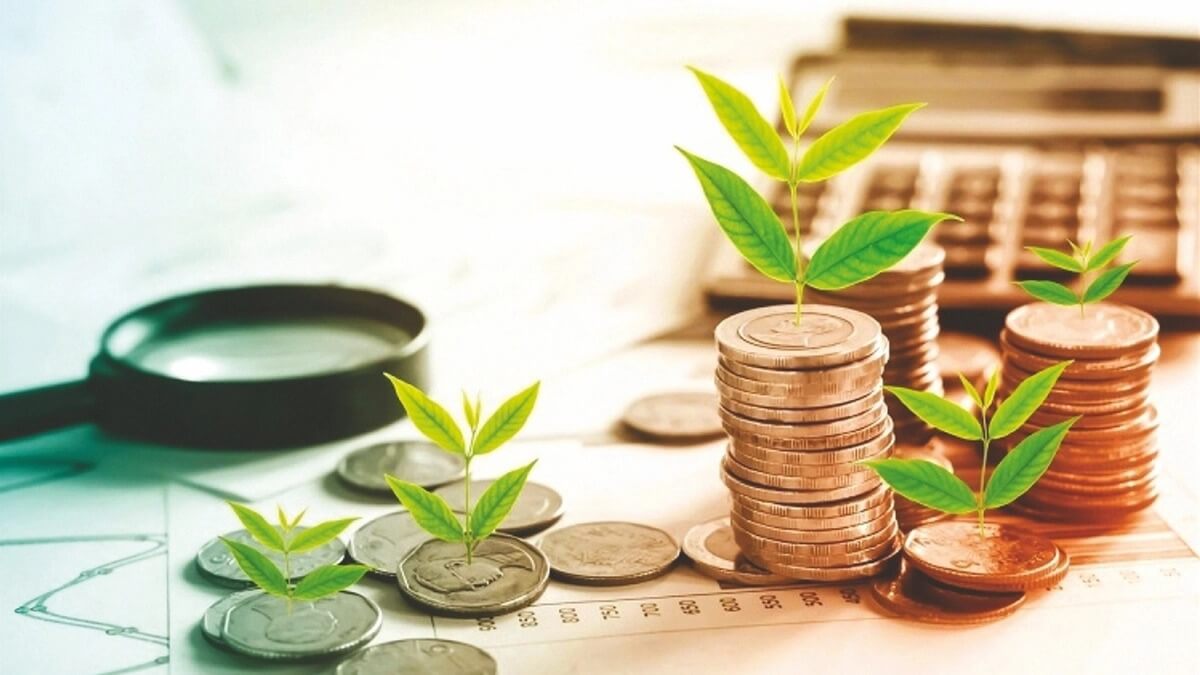 Cây non mọc trên các chồng tiền xu, kèm kính lúp và máy tính, biểu trưng cho sự tăng trưởng tài chính.