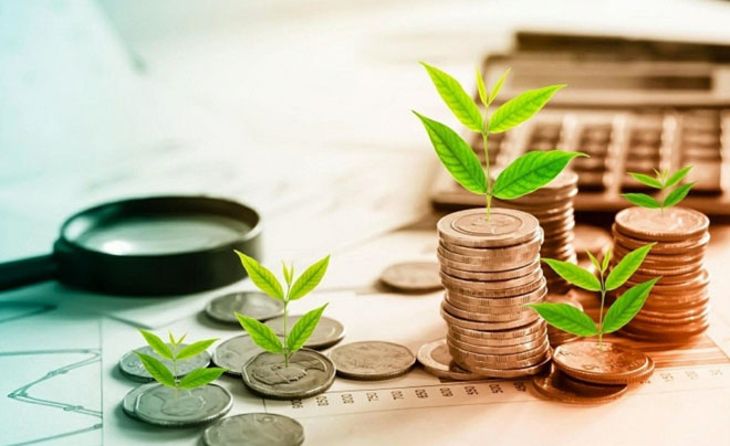 Các chồng tiền xu với cây cối mọc trên, bên cạnh kính lúp và máy tính, biểu tượng cho sự phát triển tài chính.