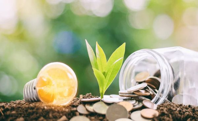 Bóng đèn, chồi cây và hũ tiền xu trên nền đất, biểu tượng cho ý tưởng phát triển bền vững và tài chính.