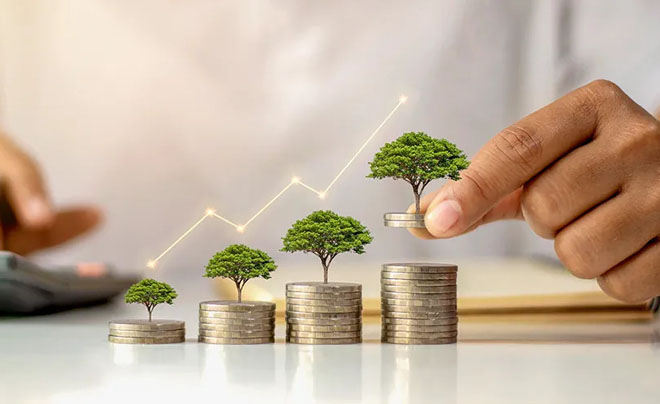 Bàn tay đặt đồng xu lên chồng tiền xu với cây nhỏ, biểu thị sự tăng trưởng tài chính và đầu tư.