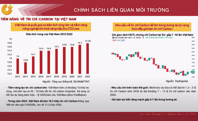 Biểu đồ và thông tin về tiềm năng và nhu cầu thị trường tín chỉ carbon tại Việt Nam từ 2013-2022.