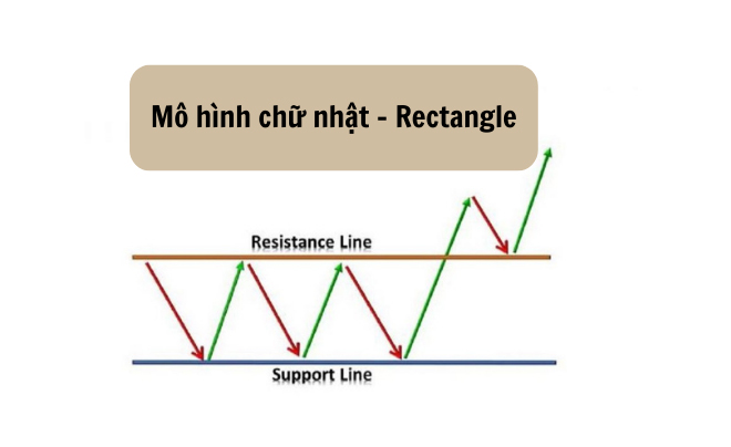 Mô hình chữ nhật - Rectangle