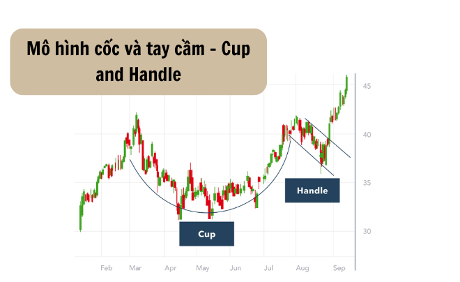Mô hình cốc và tay cầm - Cup and Handle
