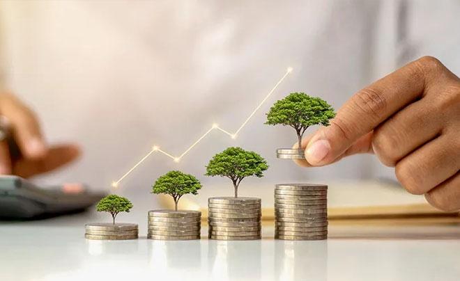 Bàn tay đặt cây trên chồng tiền xu ngày càng cao, biểu đồ đường thể hiện sự tăng trưởng.