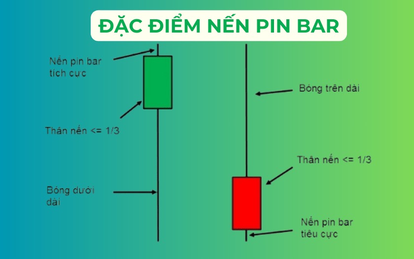 Hình minh họa đặc điểm nến pin bar, gồm nến xanh tích cực và nến đỏ tiêu cực với bóng và thân nến.