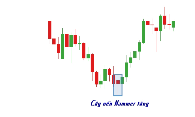 Nến Hammer tăng