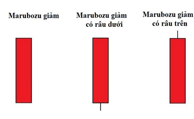 Ba biểu đồ nến đỏ minh họa các dạng Marubozu giảm, gồm không râu, có râu dưới và có râu trên.