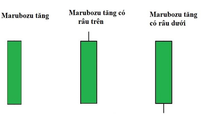 Ba biểu đồ nến xanh: Marubozu tăng, Marubozu tăng có râu trên, Marubozu tăng có râu dưới.