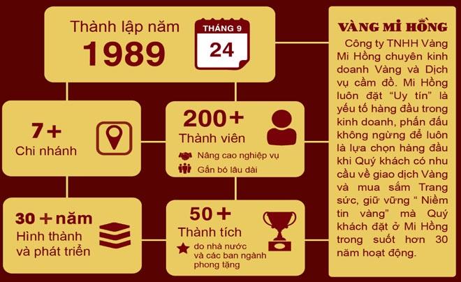 Đồ họa thông tin về công ty, thành lập năm 1989, với chi nhánh, thành viên, thành tích và sứ mệnh.