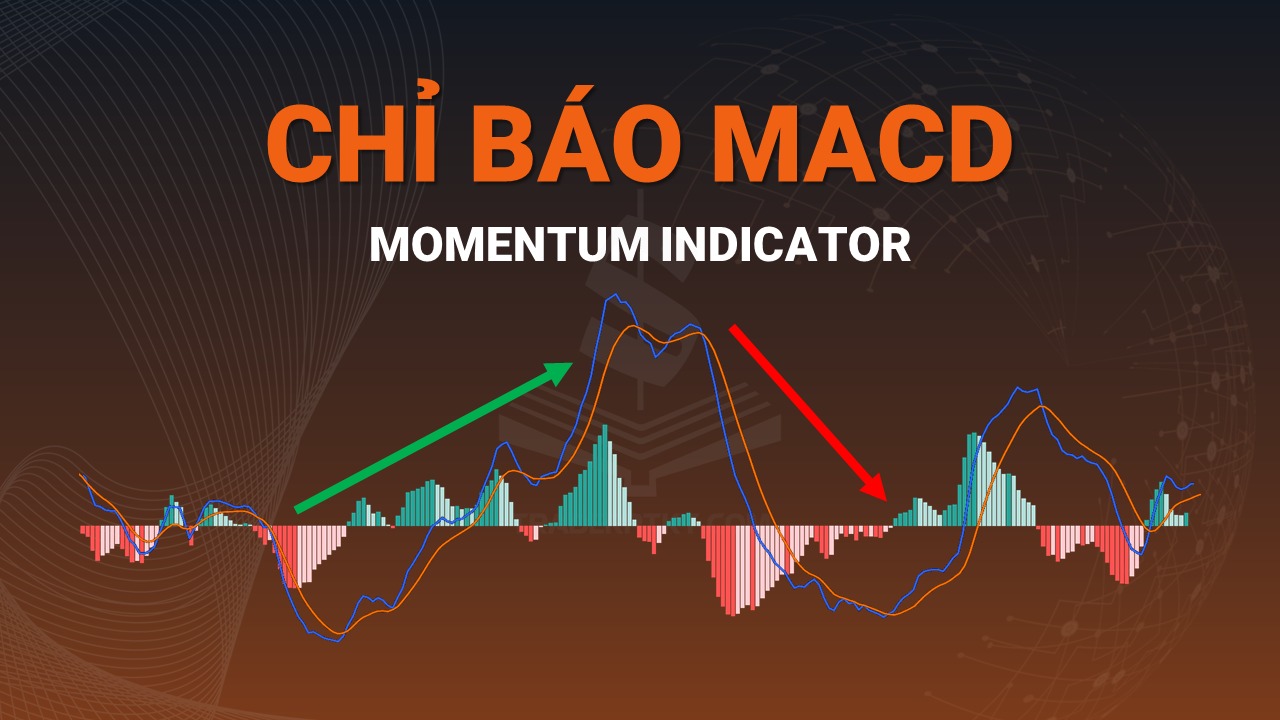 Nha dau tu can thuc hanh va tich luy kinh nghiem phan tich MACD