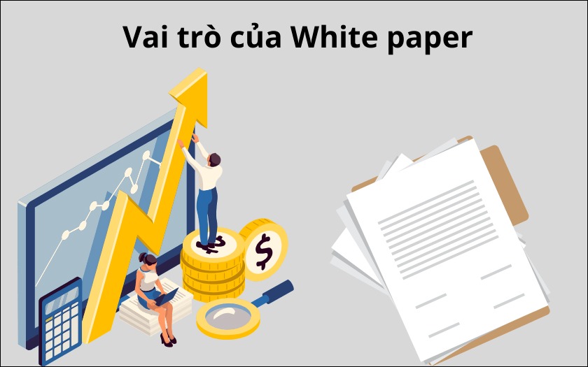 Vai tro cua white paper