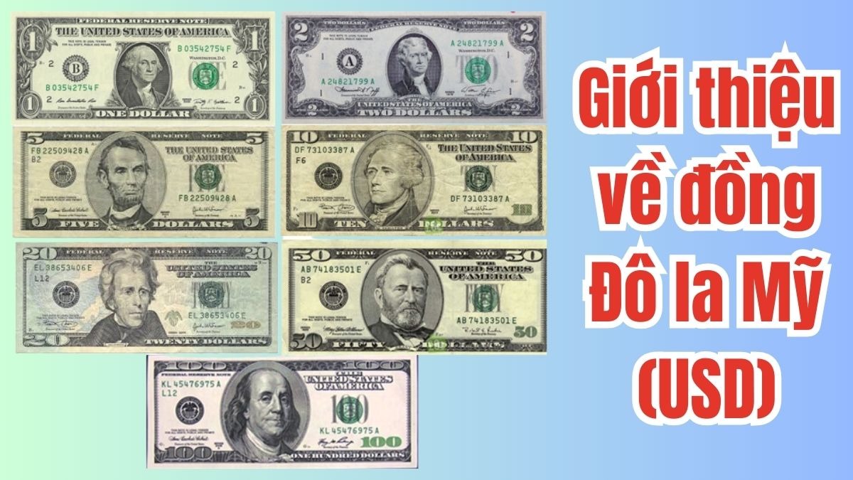cac menh gia tien do