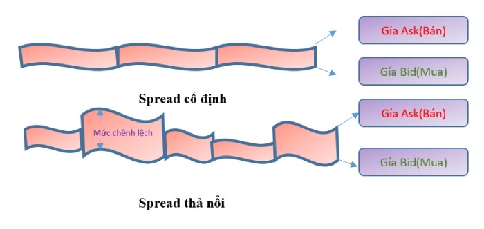 spread co dinh tha noi