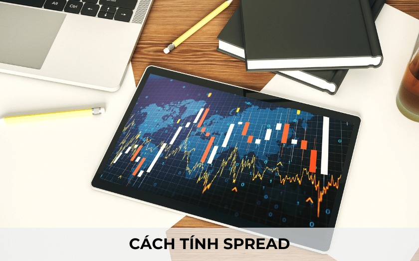 tinh phi spread